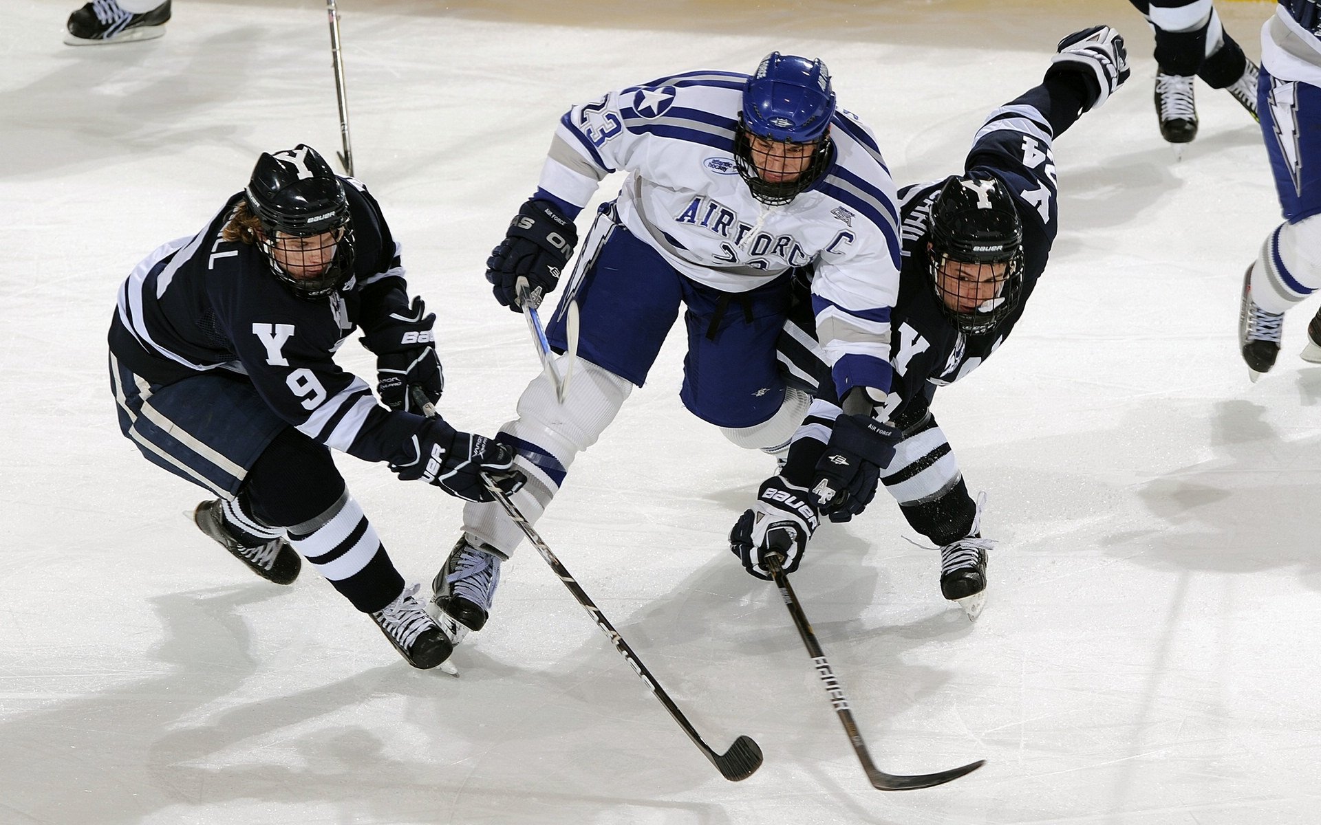 城市体育空间规划对居民参与行为的影响，城市公共体育空间的布局原则包括