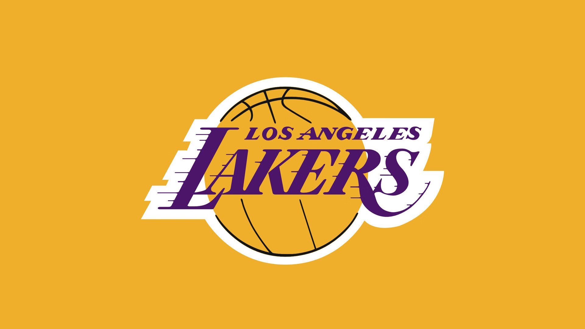 森林狼推出球队公益基金会支持教育项目,森林狼队球馆